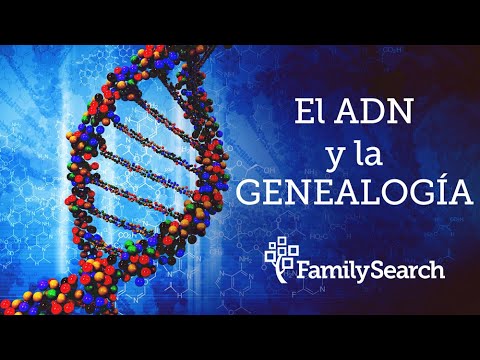 Descubre el increíble poder del ADN en un árbol genealógico