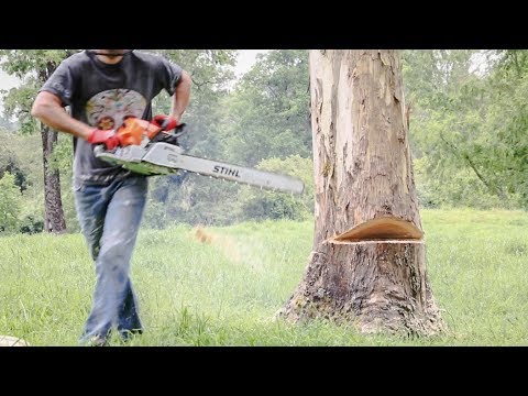 Motosierra para cortar arboles