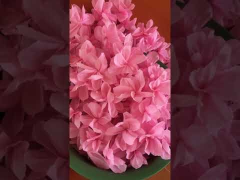 Árbol de rosas: belleza en flores grandes